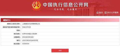 郑恺控股公司成被执行人 3300万执行标的引关注 艺人跨界资本风险浮现